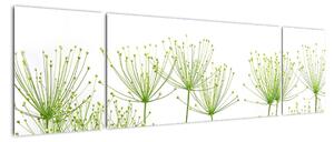 Obraz rostlin na bílém pozadí (170x50cm)