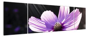Obraz fialového květu (170x50cm)