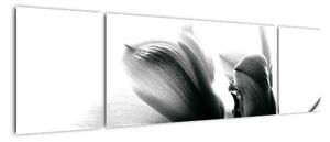Obraz černobílých květů (170x50cm)