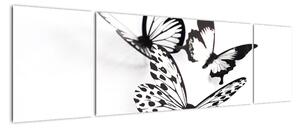 Obraz motýlů (170x50cm)