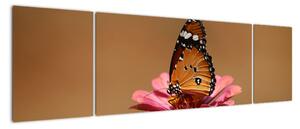 Obraz motýla (170x50cm)