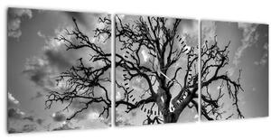 Obraz - Černobílý strom (s hodinami) (90x30 cm)