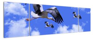 Obraz letících čápů (170x50cm)