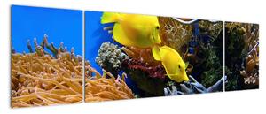 Podmořský svět - obraz (170x50cm)