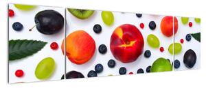 Moderní obraz - ovoce (170x50cm)