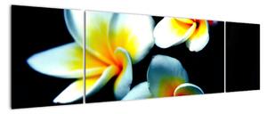 Obraz květiny (170x50cm)