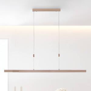 Paul Neuhaus LED závěsná lampa Adriana nastavitelná stmívatelná, stmívatelný, Světlé dřevo, Obývací pokoj / jídelna, kov, Moderní