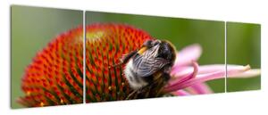 Obraz včely na květu (170x50cm)