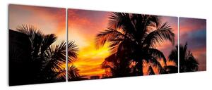 Obraz palmy na zeď (170x50cm)