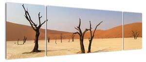 Obraz pouště (170x50cm)
