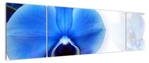 Obraz s orchidejí (170x50cm)