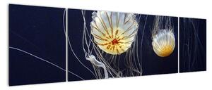 Obraz - medúzy (170x50cm)