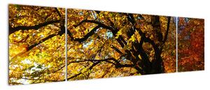 Obraz podzimní krajiny (170x50cm)