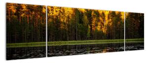 Obraz - podzimní krajina (170x50cm)