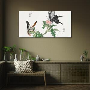 Obraz na skle Obraz na skle Pobočka motýlů květin