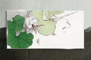 Obraz na skle Obraz na skle Větev listů Květiny
