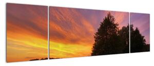 Barevný západ slunce - obraz (170x50cm)
