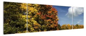 Podzimní krajina, obraz (170x50cm)