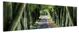 Údolí stromů, obrazy (170x50cm)