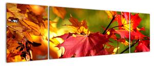 Podzimní listí, obraz (170x50cm)