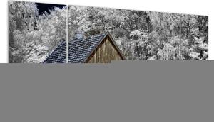 Chaloupka v zimě, obrazy (170x50cm)