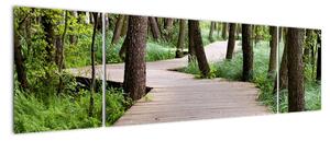 Cesta v lese - obraz (170x50cm)