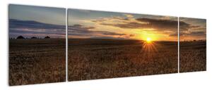 Západ slunce na poli - obraz na stěnu (170x50cm)
