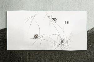 Obraz na skle Obraz na skle Moderní hmyz