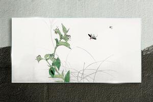 Obraz na skle Obraz na skle Asijské hmyze listy