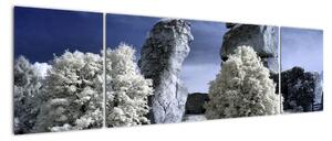 Zimní krajina - obraz do bytu (170x50cm)