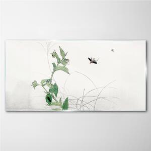 Obraz na skle Obraz na skle Asijské hmyze listy