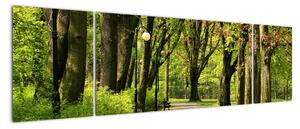 Cesta v parku - obraz (170x50cm)