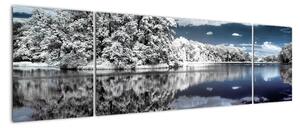 Zimní krajina - obraz (170x50cm)