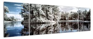 Zimní krajina - obrazy (170x50cm)