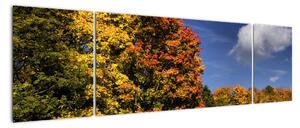 Podzimní stromy - moderní obraz (170x50cm)