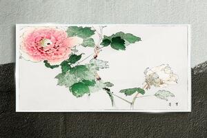 Obraz na skle Obraz na skle Květinové listy květin