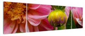 Obraz květu rostliny (170x50cm)