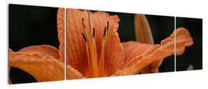 Obraz květiny (170x50cm)