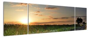 Západ slunce - obraz (170x50cm)