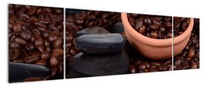 Kávová zrna - obraz (170x50cm)