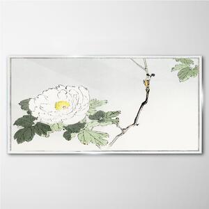 Obraz na skle Obraz na skle Asijské květiny obor