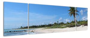 Exotická pláž - obraz (170x50cm)