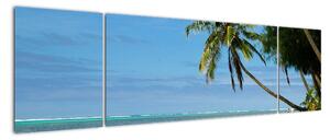 Fotka pláže - obraz (170x50cm)