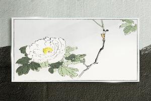 Obraz na skle Obraz na skle Asijské květiny obor