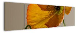 Žlutá květina - obraz (170x50cm)