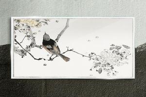 Obraz na skle Obraz na skle Větev zvířat pták