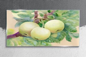 Obraz na skle Obraz na skle Ovoce jablečný větev listy