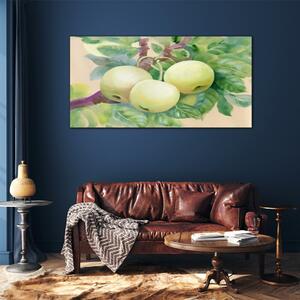 Obraz na skle Obraz na skle Ovoce jablečný větev listy