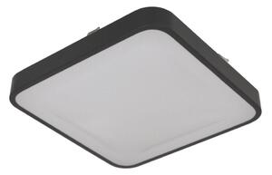 Stropní svítidlo se senzorem WILTON 2xE27/60W/230V 33x33 cm antracit
