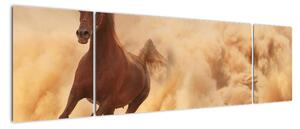Cválající kůň - obraz (170x50cm)